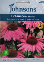 Echinacea Bravado Seeds